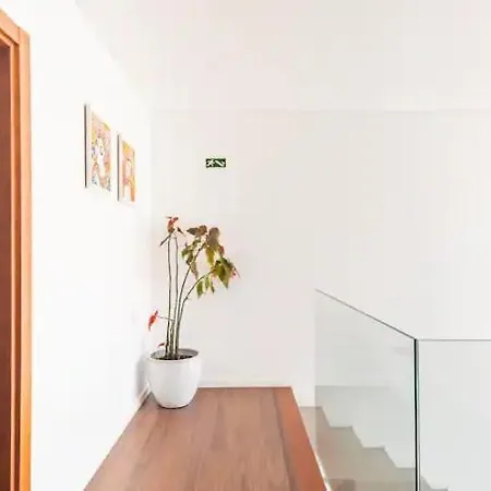 ゲストハウス Baleal Surf Ranch